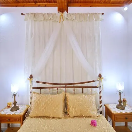 Vasia's Small Apartment Skopelos Town